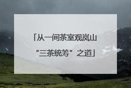 从一间茶室观岚山“三茶统筹”之道