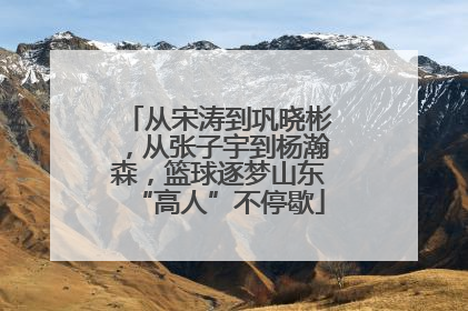 从宋涛到巩晓彬，从张子宇到杨瀚森，篮球逐梦山东“高人”不停歇