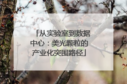 从实验室到数据中心：美光颗粒的产业化突围路径