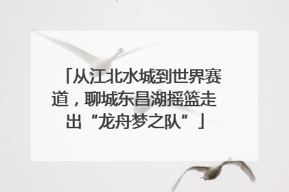 从江北水城到世界赛道，聊城东昌湖摇篮走出“龙舟梦之队”