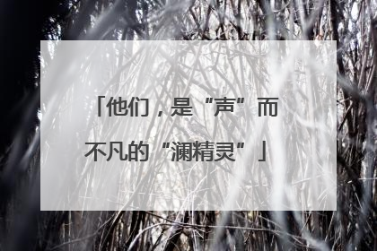 他们，是“声”而不凡的“澜精灵”