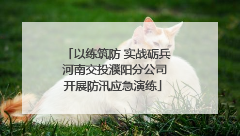 以练筑防 实战砺兵 河南交投濮阳分公司开展防汛应急演练