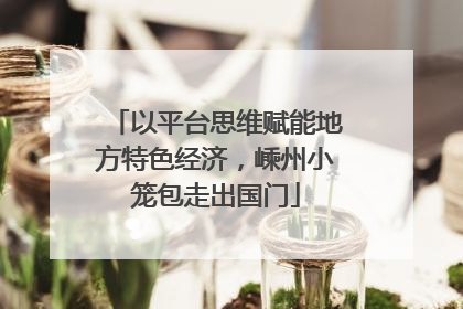 以平台思维赋能地方特色经济，嵊州小笼包走出国门