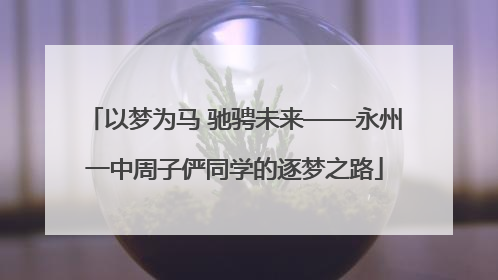 以梦为马 驰骋未来——永州一中周子俨同学的逐梦之路