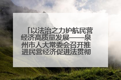以法治之力护航民营经济高质量发展——泉州市人大常委会召开推进民营经济促进法贯彻实施座谈会