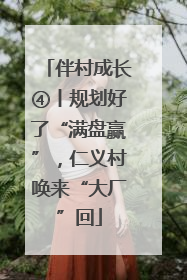 伴村成长④丨规划好了“满盘赢”，仁义村唤来“大厂”回