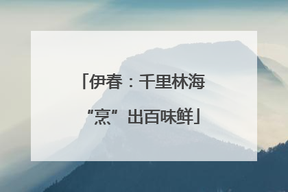 伊春：千里林海“烹”出百味鲜