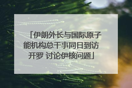 伊朗外长与国际原子能机构总干事同日到访开罗 讨论伊核问题