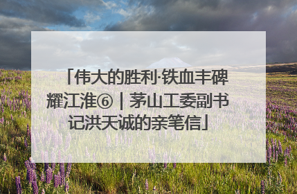 伟大的胜利·铁血丰碑耀江淮⑥｜茅山工委副书记洪天诚的亲笔信