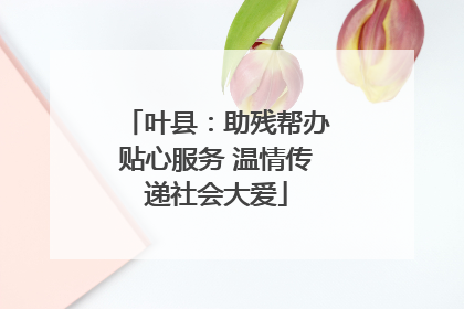叶县：助残帮办贴心服务 温情传递社会大爱