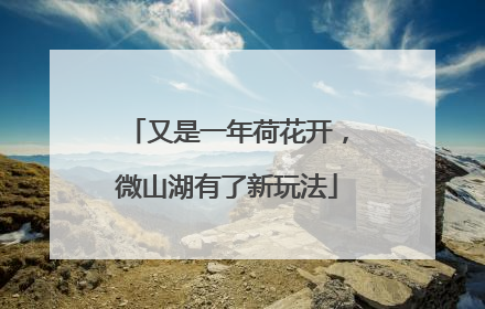 又是一年荷花开，微山湖有了新玩法