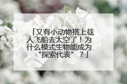 又有小动物搭上载人飞船去太空了！为什么模式生物能成为“探索代表”？
