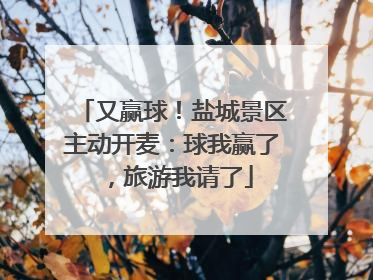 又赢球！盐城景区主动开麦：球我赢了，旅游我请了
