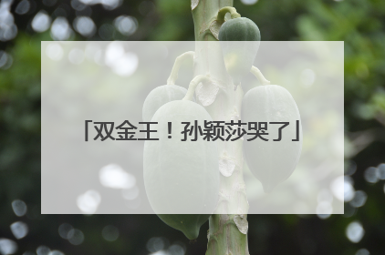 双金王！孙颖莎哭了