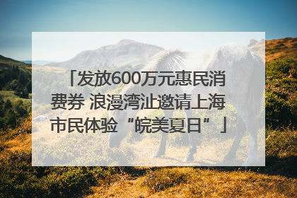 发放600万元惠民消费券 浪漫湾沚邀请上海市民体验“皖美夏日”