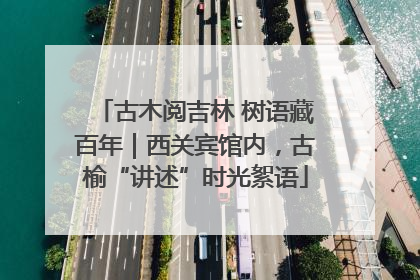 古木阅吉林 树语藏百年｜西关宾馆内，古榆“讲述”时光絮语