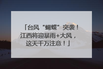 台风“蝴蝶”突袭！江西将迎暴雨+大风，这天千万注意！