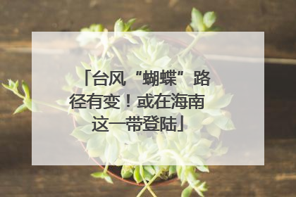 台风“蝴蝶”路径有变！或在海南这一带登陆