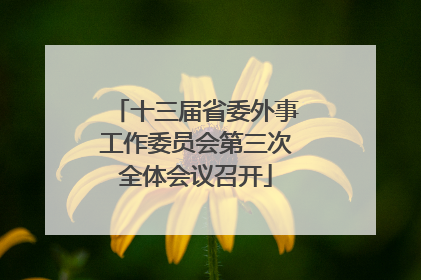 十三届省委外事工作委员会第三次全体会议召开