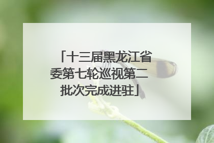 十三届黑龙江省委第七轮巡视第二批次完成进驻