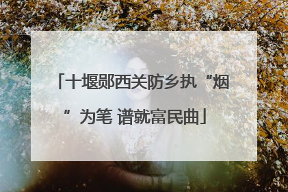 十堰郧西关防乡执“烟”为笔 谱就富民曲