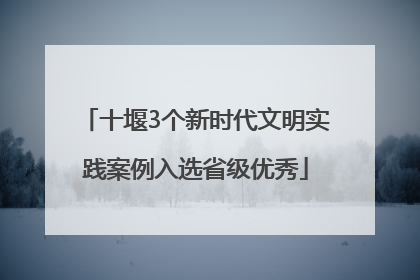十堰3个新时代文明实践案例入选省级优秀
