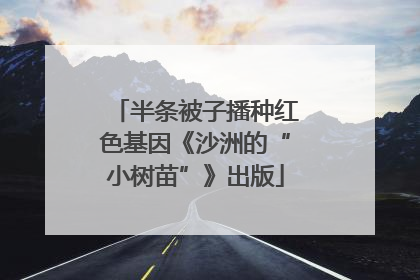 半条被子播种红色基因《沙洲的“小树苗”》出版