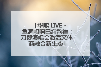 华熙 LIVE・鱼洞唱响巴渝韵律：刀郎演唱会激活文体商融合新生态