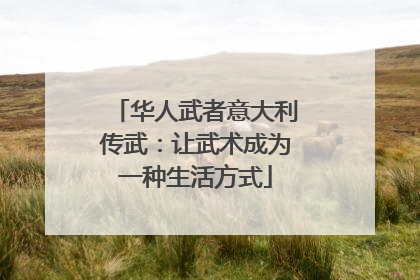 华人武者意大利传武：让武术成为一种生活方式