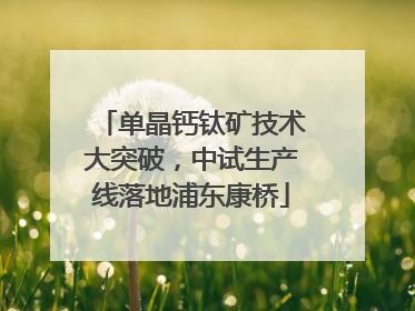 单晶钙钛矿技术大突破，中试生产线落地浦东康桥