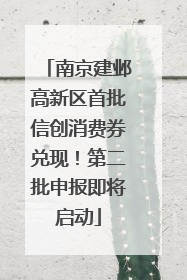 南京建邺高新区首批信创消费券兑现！第二批申报即将启动