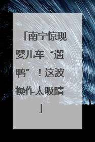 南宁惊现婴儿车“遛鸭”！这波操作太吸睛