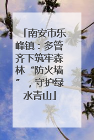 南安市乐峰镇：多管齐下筑牢森林“防火墙”，守护绿水青山