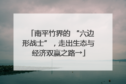 南平竹界的 “六边形战士”，走出生态与经济双赢之路→