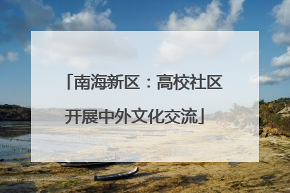 南海新区：高校社区开展中外文化交流