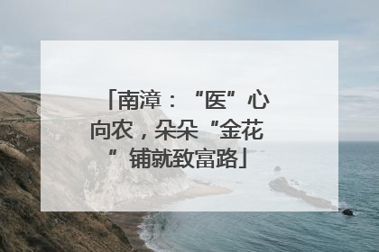 南漳：“医”心向农，朵朵“金花”铺就致富路