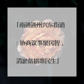 南通通州兴东街道：协商议事聚民智，清淤备耕惠民生