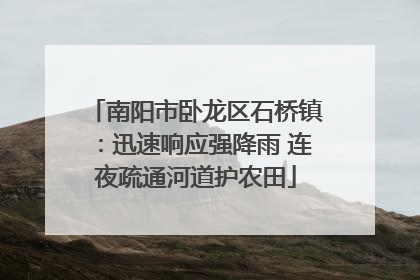 南阳市卧龙区石桥镇：迅速响应强降雨 连夜疏通河道护农田