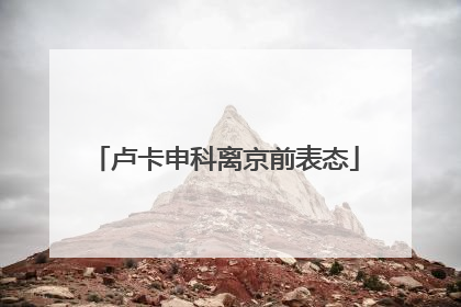 卢卡申科离京前表态