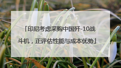 印尼考虑采购中国歼-10战斗机，正评估性能与成本优势