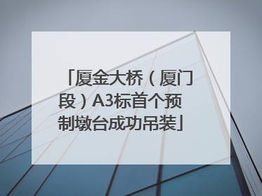 厦金大桥（厦门段）A3标首个预制墩台成功吊装