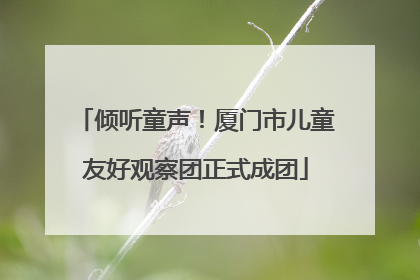 倾听童声！厦门市儿童友好观察团正式成团