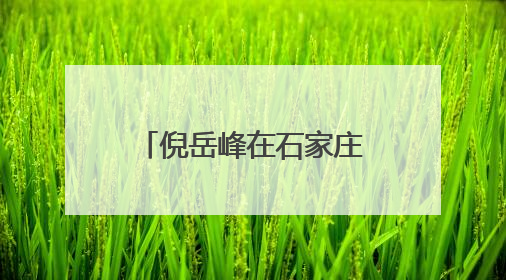 倪岳峰在石家庄市特殊教育学校看望慰问少年儿童
