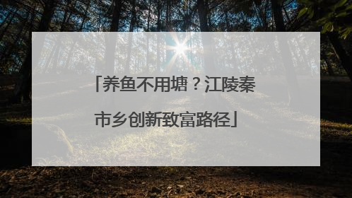 养鱼不用塘？江陵秦市乡创新致富路径
