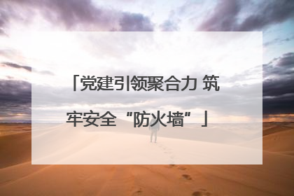 党建引领聚合力 筑牢安全“防火墙”