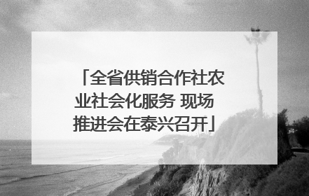 全省供销合作社农业社会化服务 现场推进会在泰兴召开