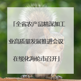 全省农产品精深加工业高质量发展推进会议在绥化海伦市召开