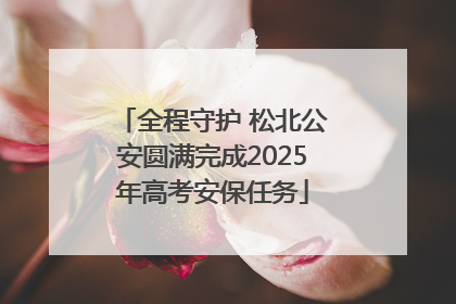 全程守护 松北公安圆满完成2025年高考安保任务