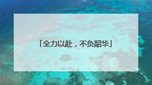 全力以赴，不负韶华
