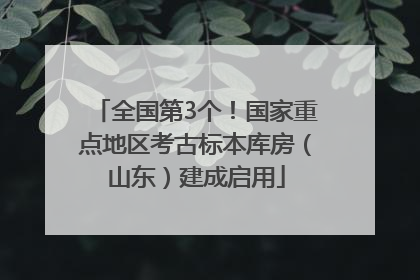 全国第3个！国家重点地区考古标本库房（山东）建成启用